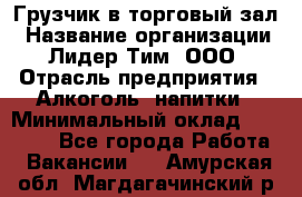 Грузчик в торговый зал › Название организации ­ Лидер Тим, ООО › Отрасль предприятия ­ Алкоголь, напитки › Минимальный оклад ­ 20 500 - Все города Работа » Вакансии   . Амурская обл.,Магдагачинский р-н